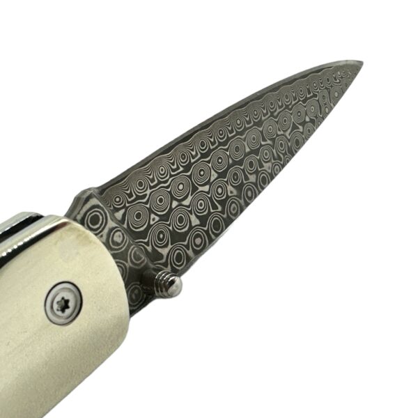 Natural Stabilized Cholla Cactus Damascus Blade Liner Lock Folding Pocket Knife