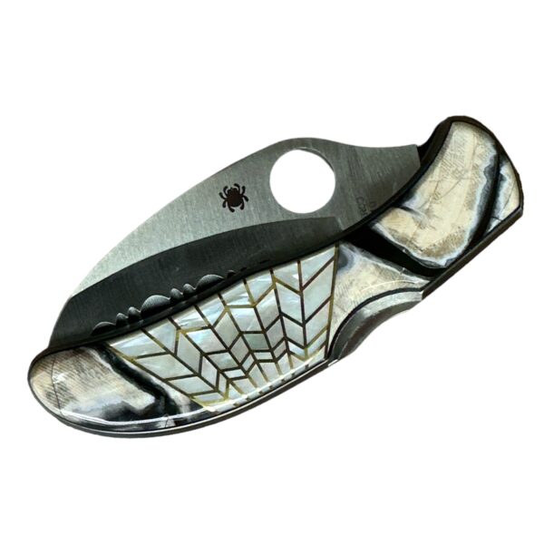 SPYDERCO Folding Locking Pocket Knife w MOP & Agate Handle